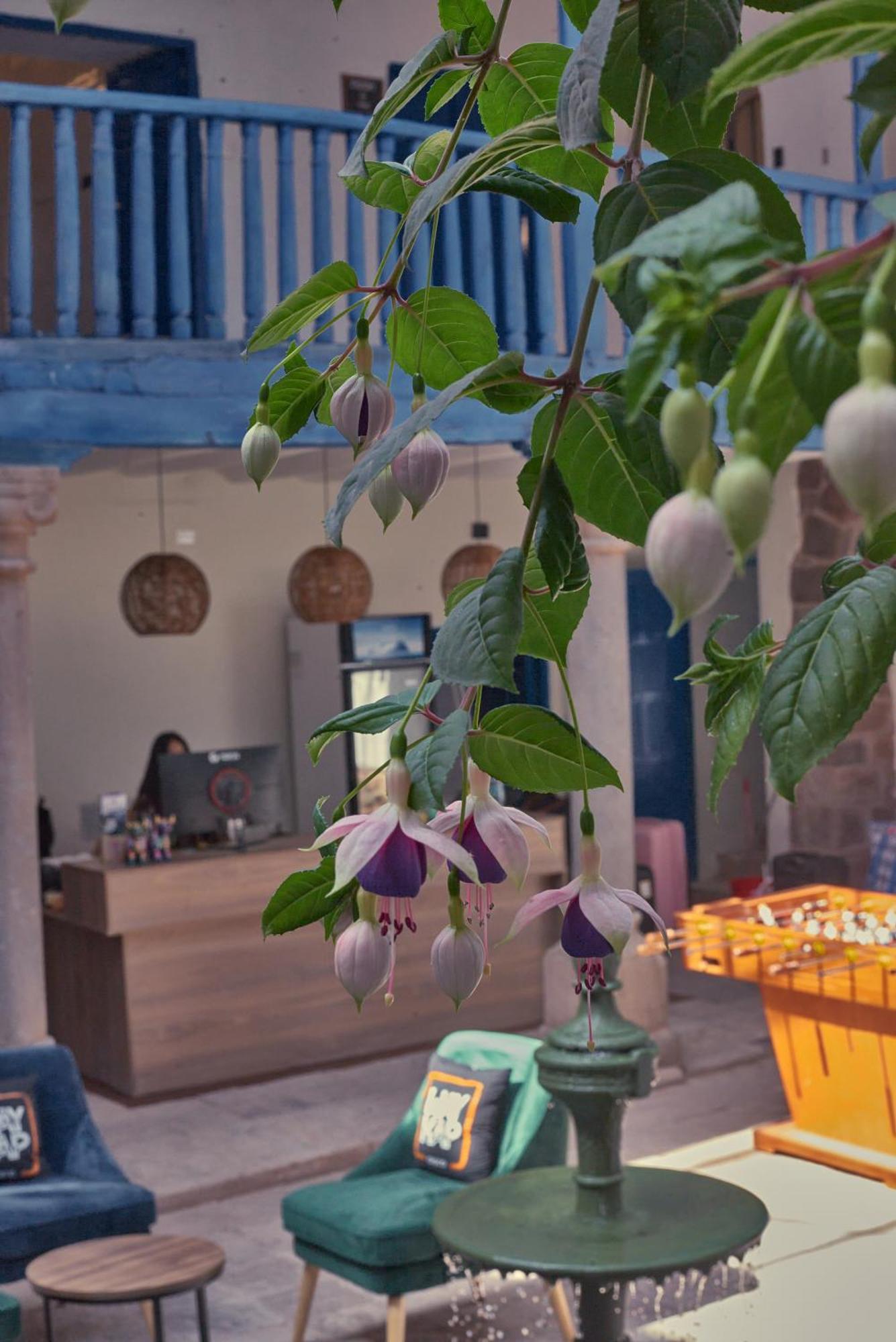 Way Kap Hostel Κούζκο Εξωτερικό φωτογραφία